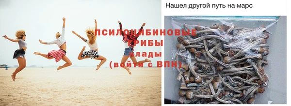 ешки Краснослободск