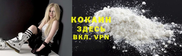 PSILOCYBIN Костерёво