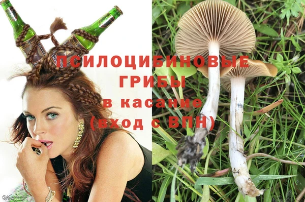 меф Дегтярск