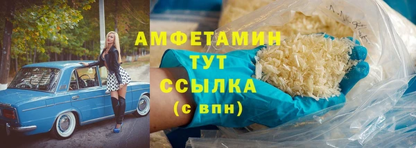 амф Козельск