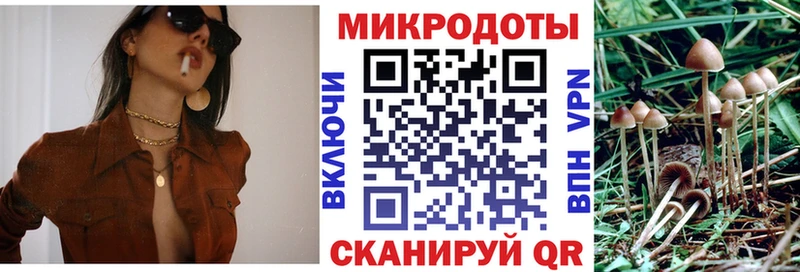 Галлюциногенные грибы Magic Shrooms цены наркотик OMG ТОР Кондрово
